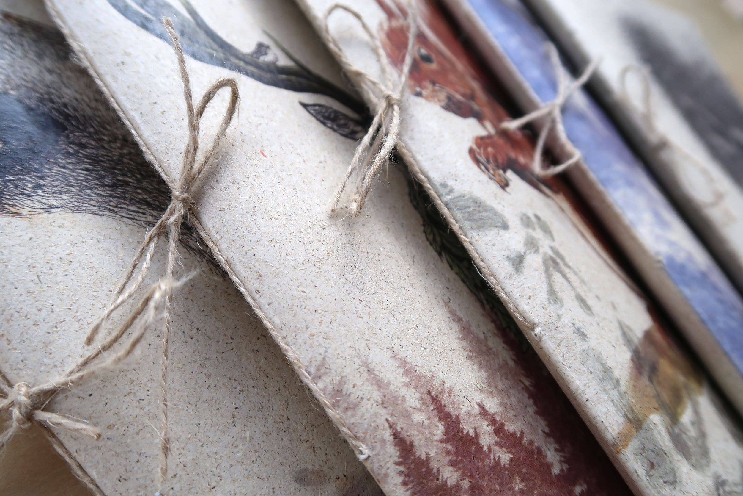 Sirem Wild - Wholesale Notebook - Grass paper notebooks of animals and nature4