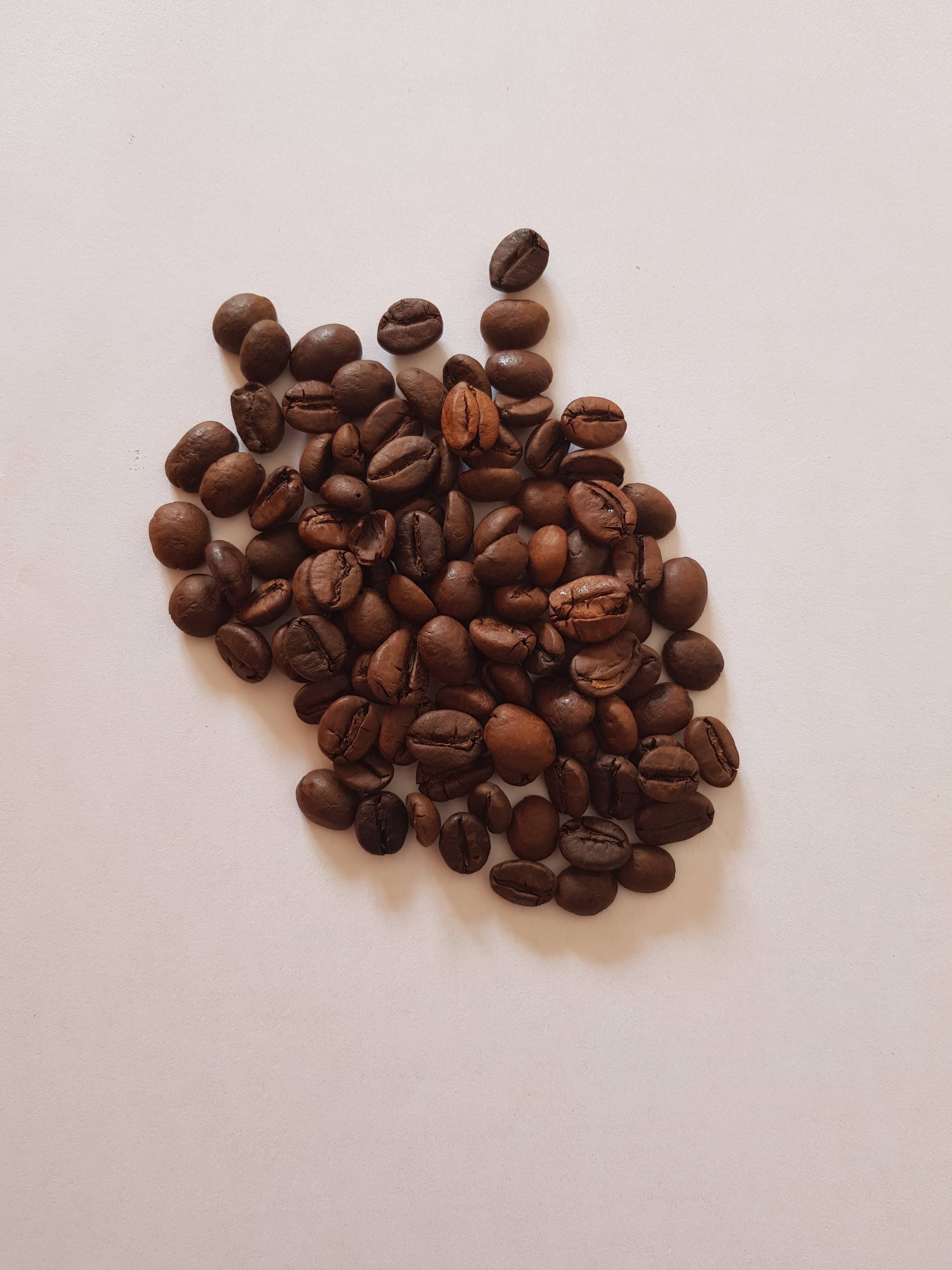 COMPANY SERVING SNC – wholesale Coffee beans – MIX ELITE Blend of Roasted Coffee Beans Non-Deca 800g1