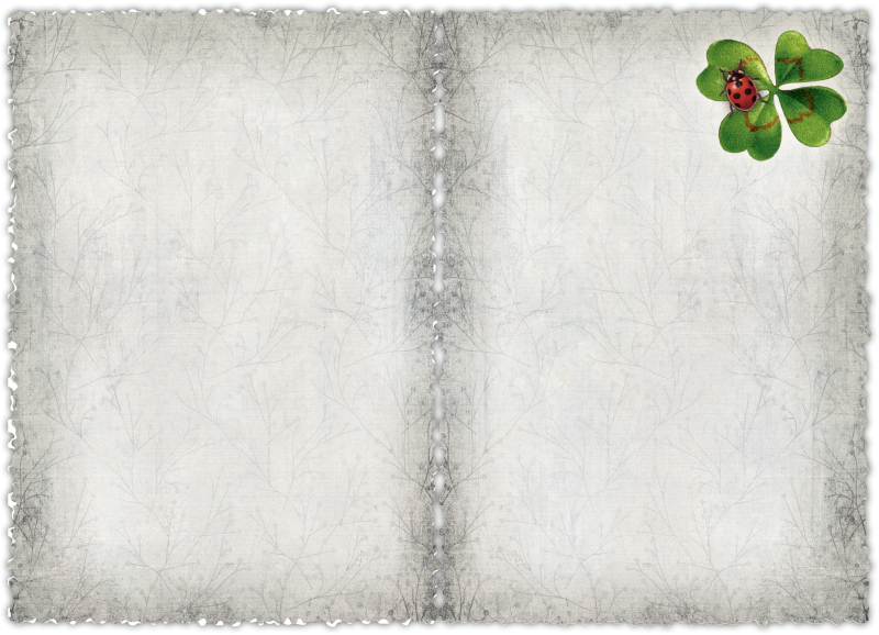 Gespänsterwald - Wholesale Love Card - Greeting Card Romantique “Ladybird”1