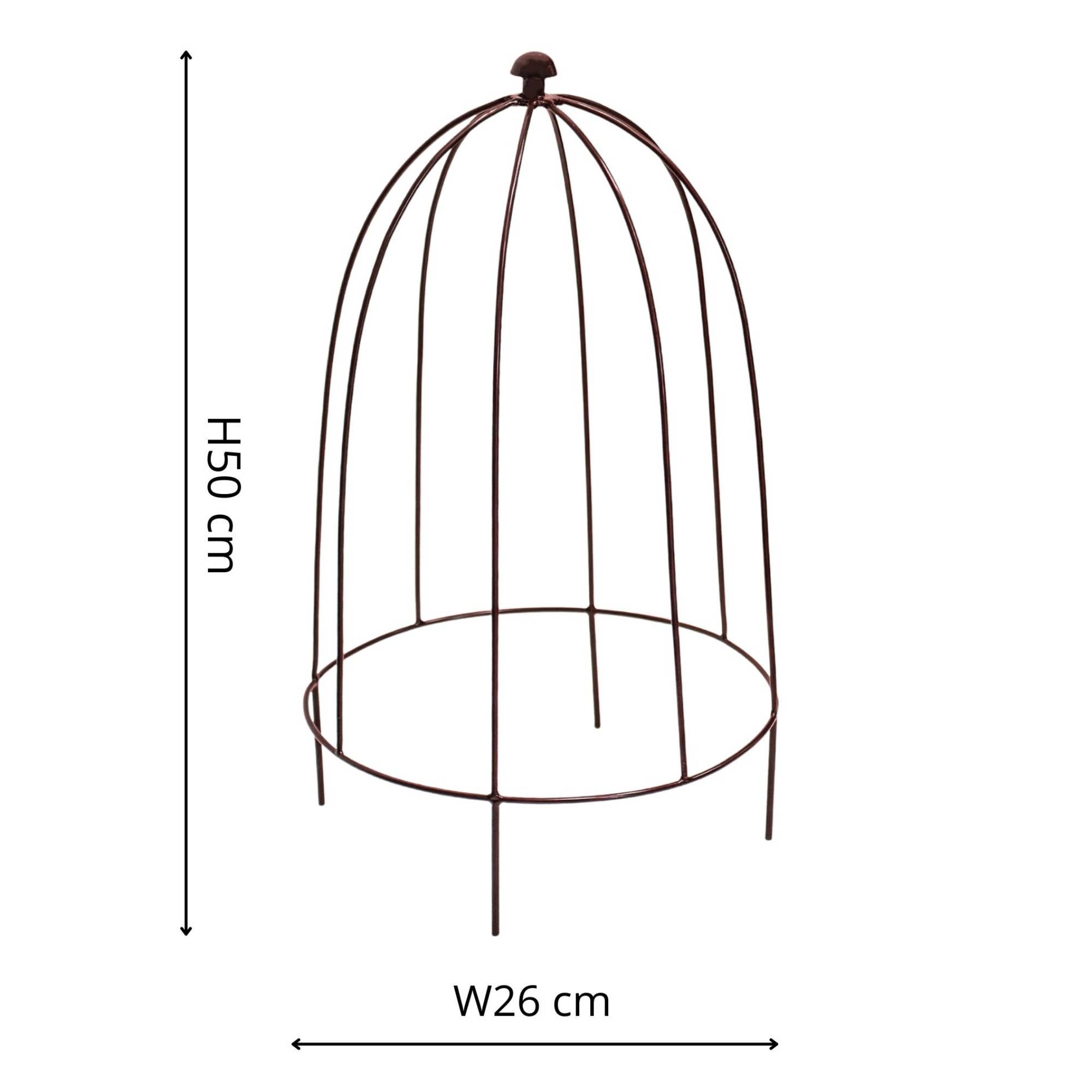 Ivyline International - Wholesale Planting Net/Cover - Outdoor Plant Support H50cm W26cm0