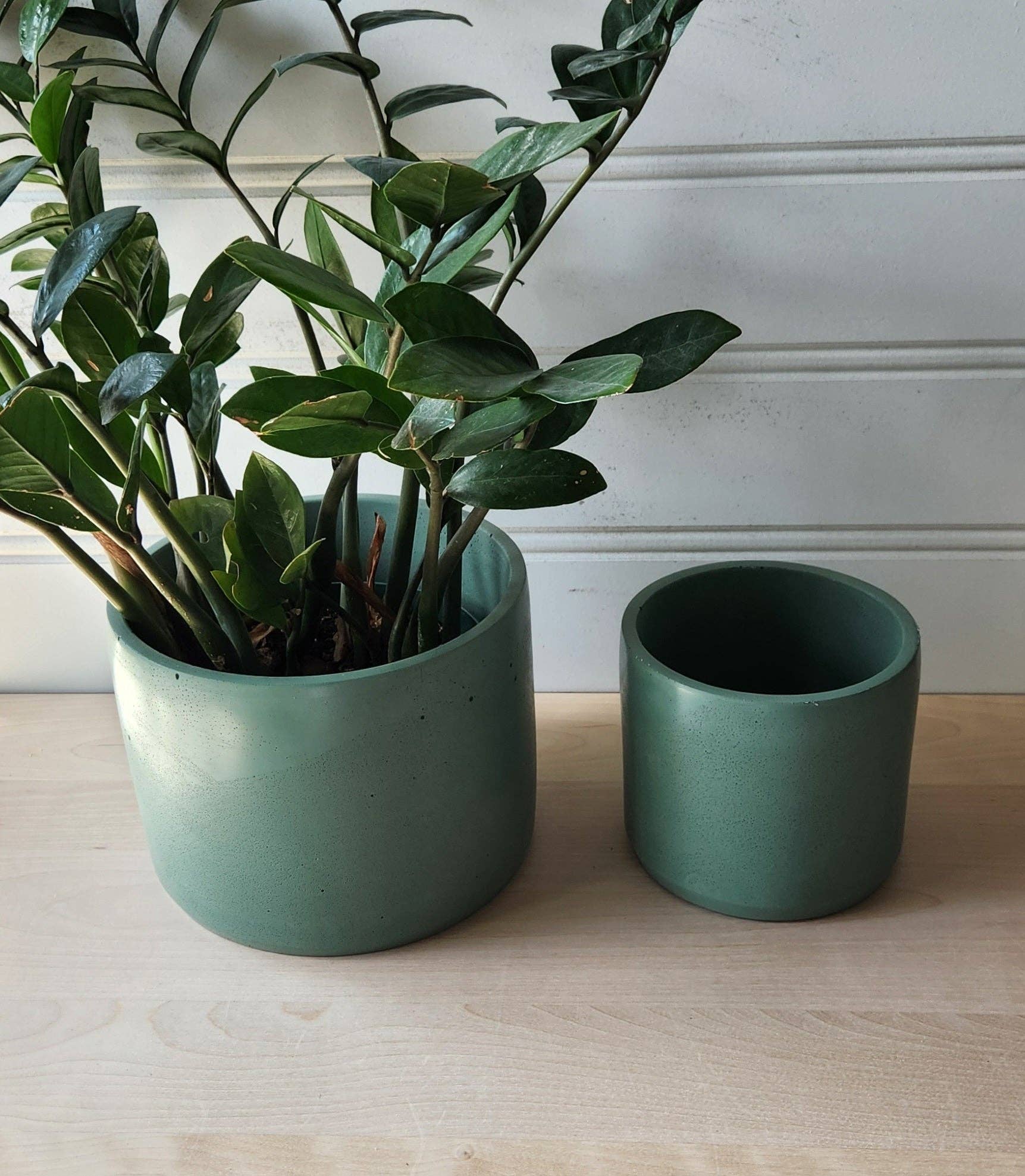Plant 'er Here - Wholesale Plant Pot - Cylinder Planter- 5" and 7" Emerald2
