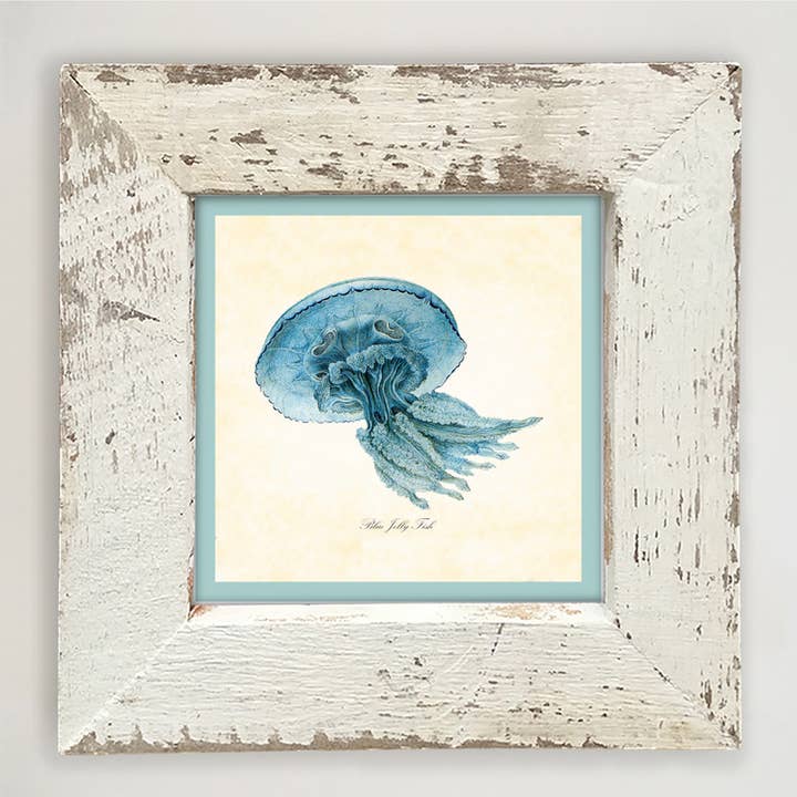 Jelly Fish - Blue for wholesale by ginger blue