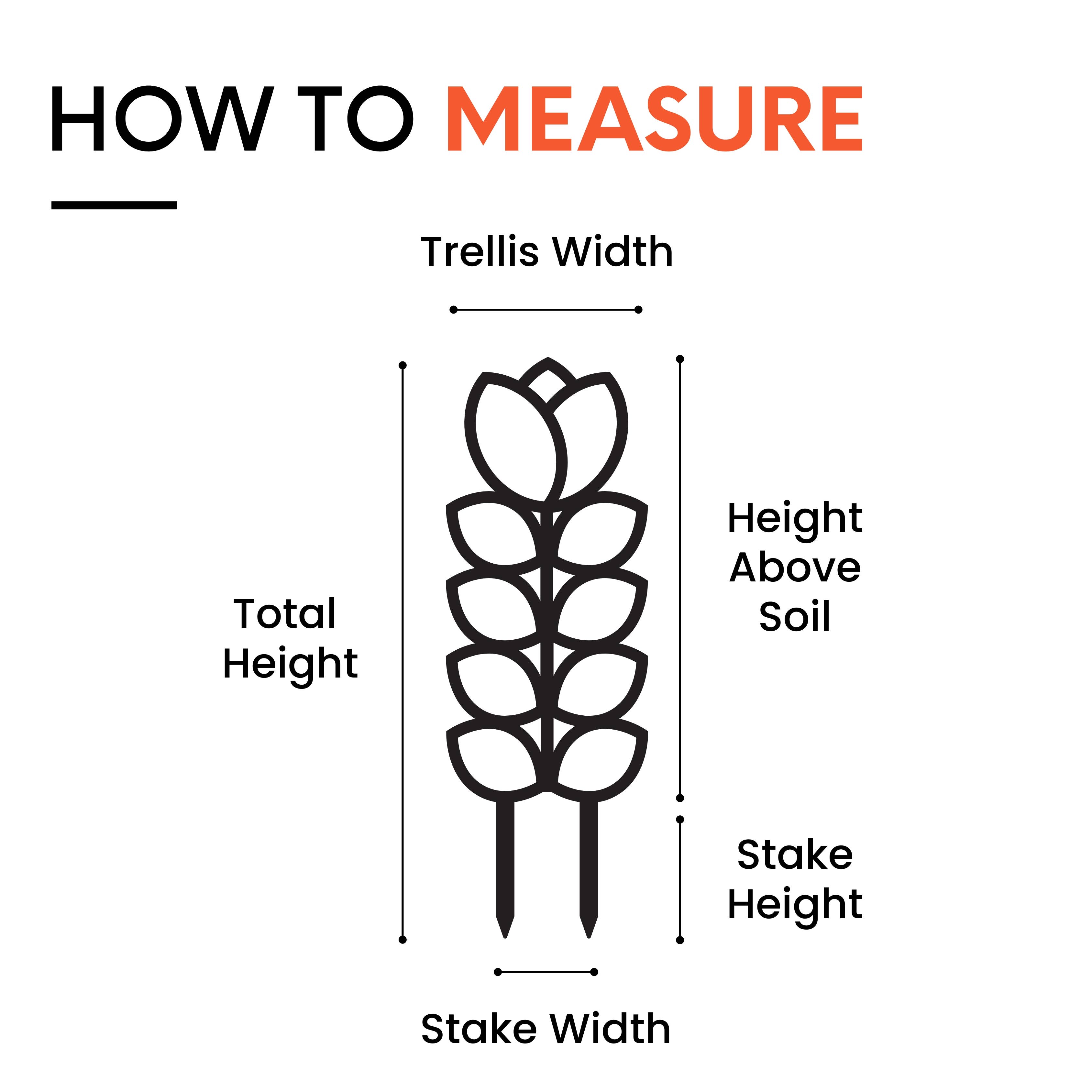 Leaf & Node - Wholesale Trellis - MCM Style Wood Indoor Plant Trellis (Tulip - 2 Sizes)4