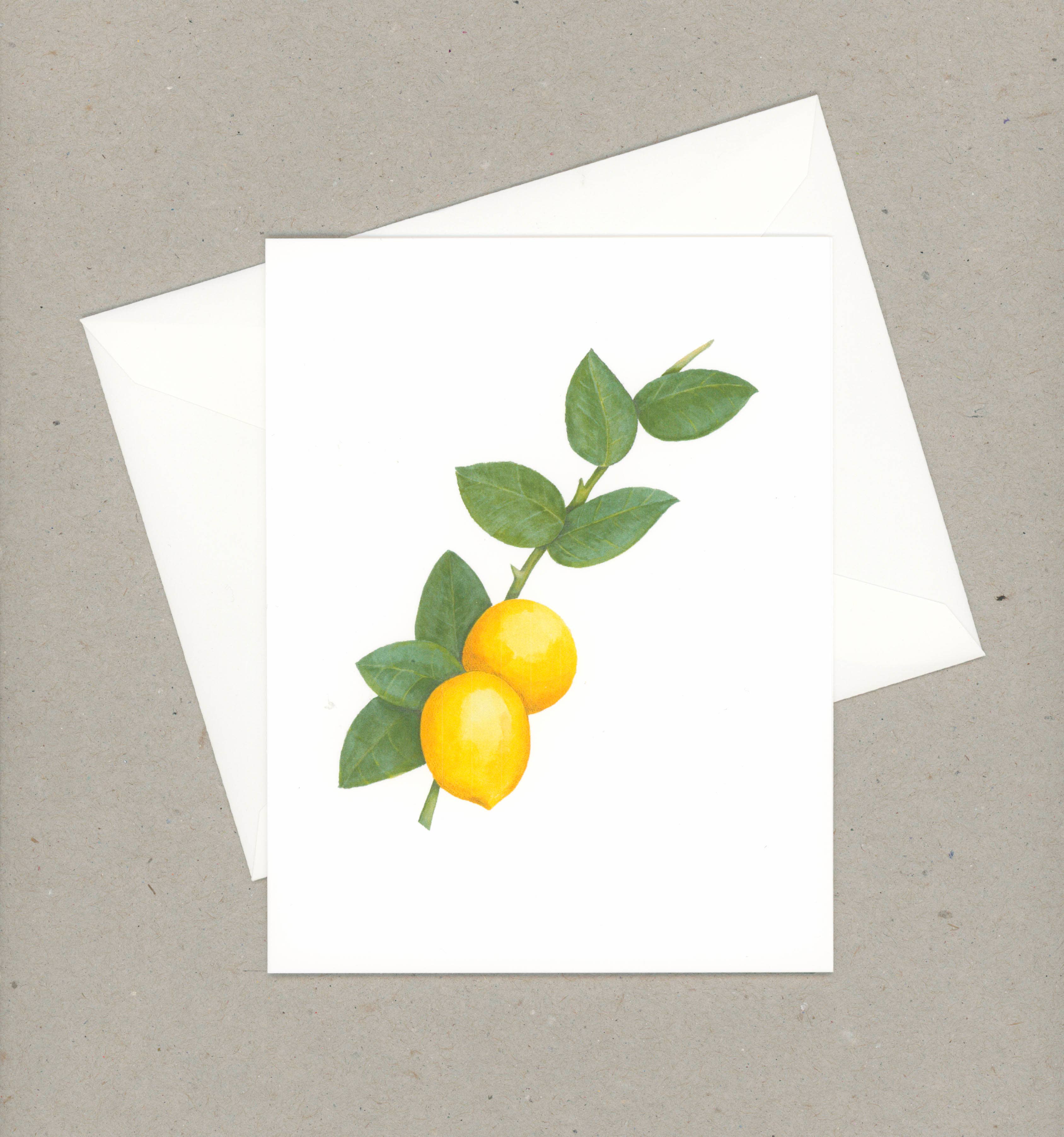VMazzoni - Wholesale Stationery/Notecard Set - Boxed Lemon Note Card Set of Six3