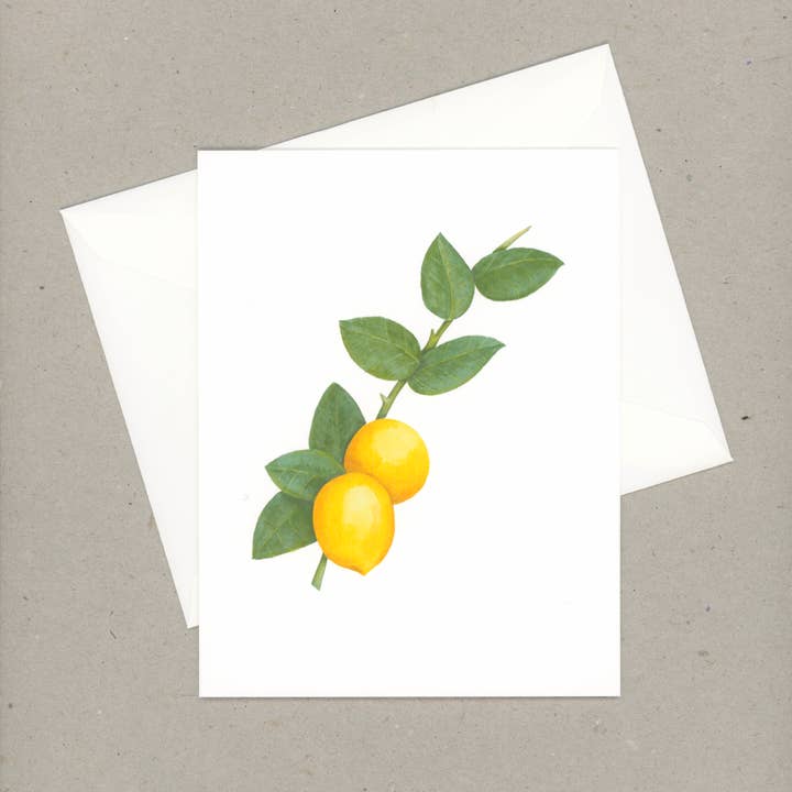 VMazzoni - Wholesale Stationery/Notecard Set - Boxed Lemon Note Card Set of Six3