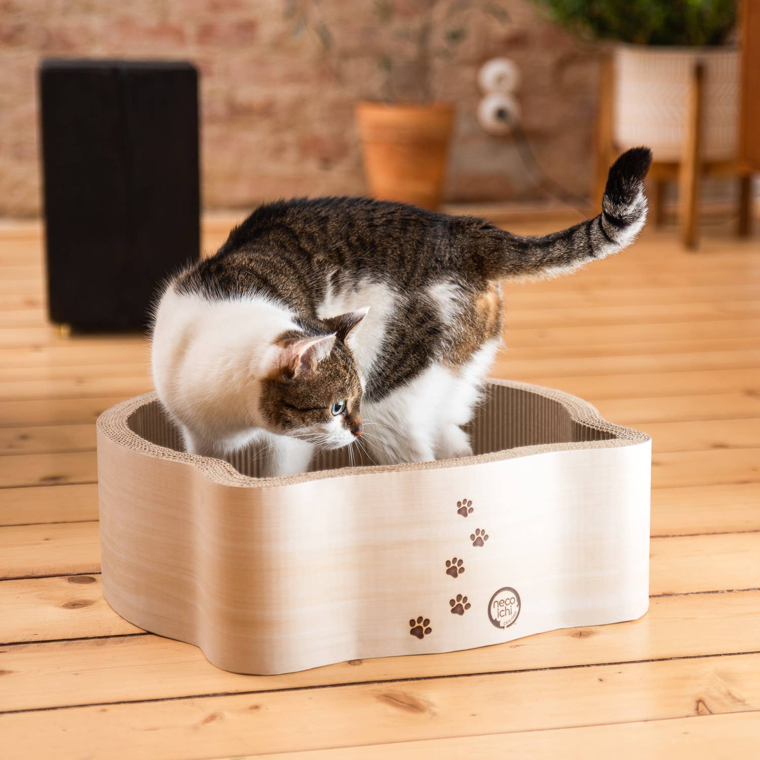 MOON-X USA, INC. - Wholesale Pet Scratcher - Cat - Cat-Headed Scratcher Bed (Birch)6