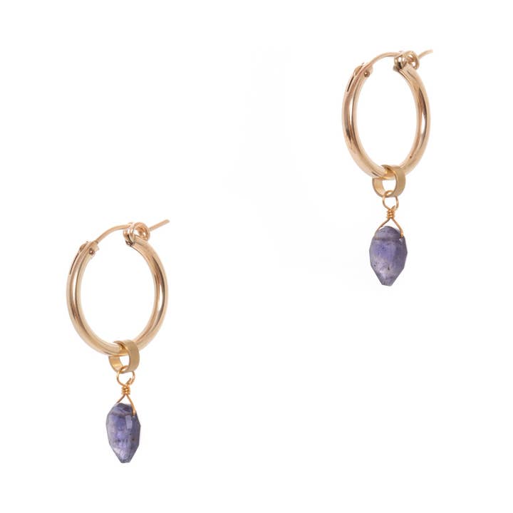 FW22 Nahla Hoop Earrings, Large for wholesale by Hailey Gerrits