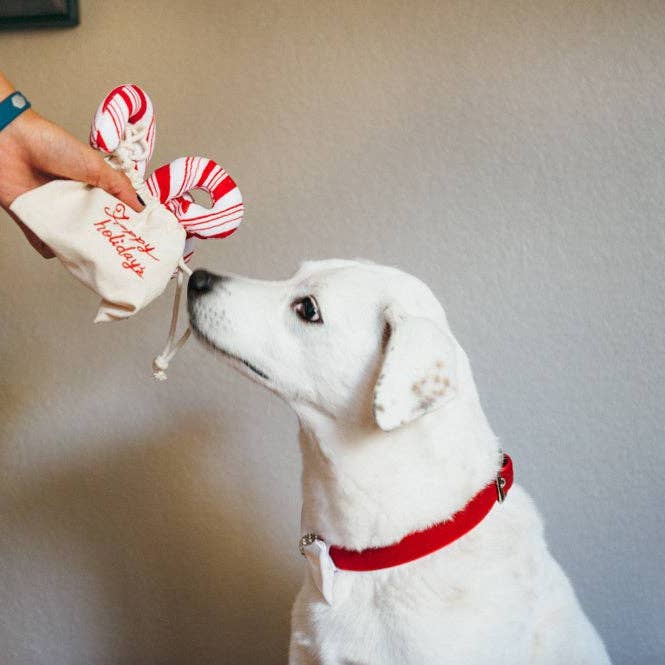 Only An Ocean Europe - Wholesale Pet Plush Toy - Dog - P.L.A.Y Holiday Classic Cheerful Candy Canes3
