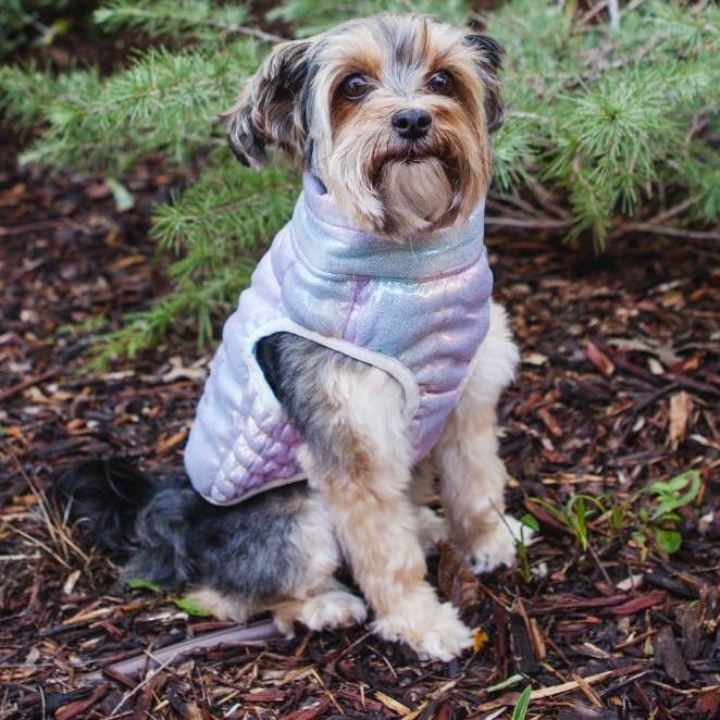 Manteau pour animal de compagnie Licorne – Facile à enfiler, résistant à l'eau, design à fermeture éclair arrière pour la vente par House of FurBaby