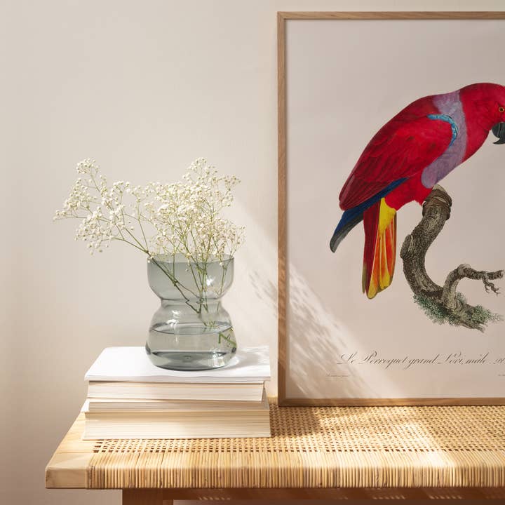 Atelier Bigarade – Engroshandel Plakat – 30x40 Plakat - Grand Lori Papegøje