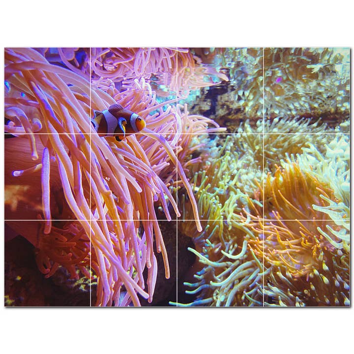 Sea Life Ceramic Tile Mural PT500416 for wholesale by Picture-Tiles.com