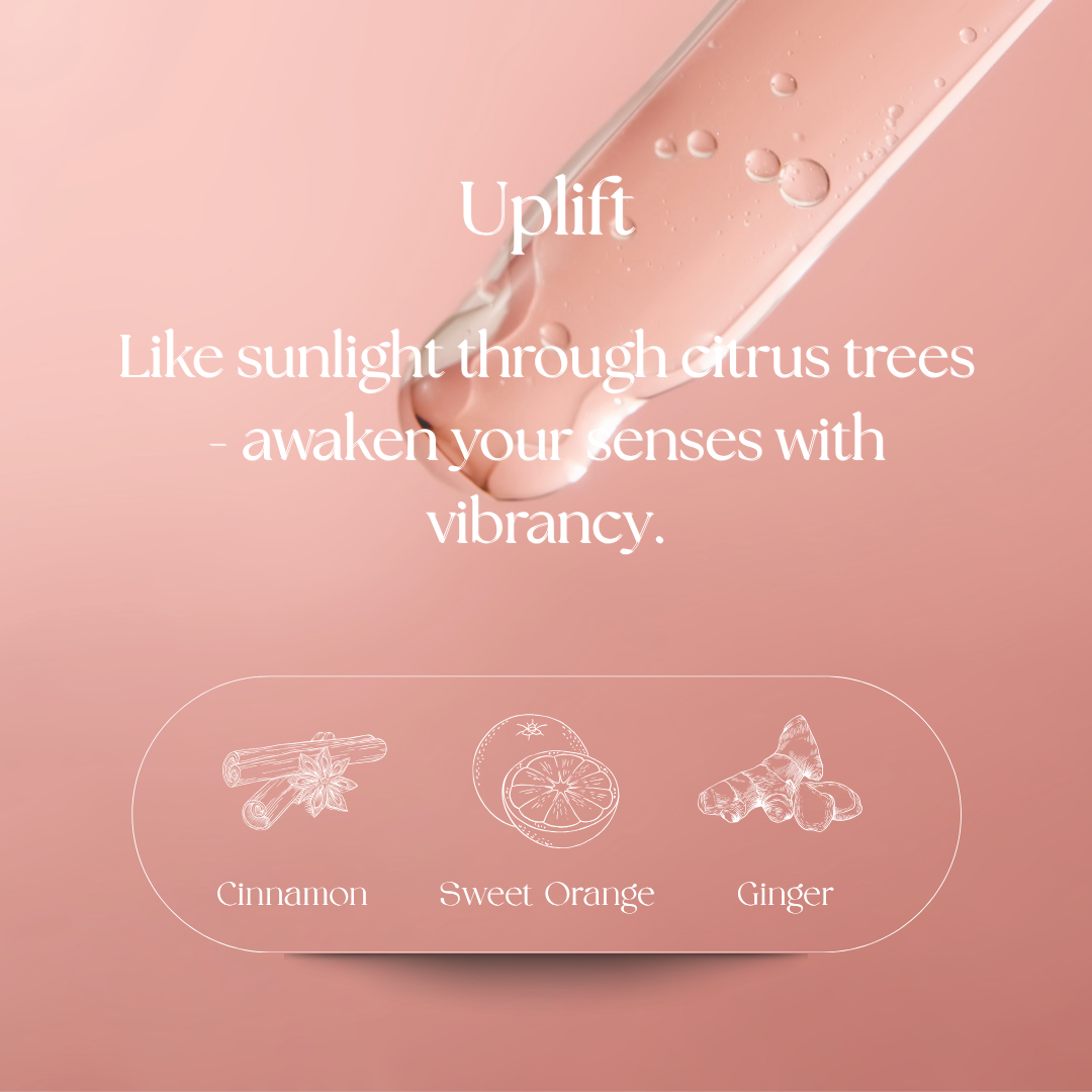 Artisan Aromatherapy & Wellness - Wholesale Body Scrub/Exfoliant - Uplift Body Scrub for Refreshing Energy5