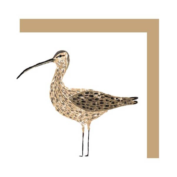 CO03- Curlew for wholesale by IzziRainey