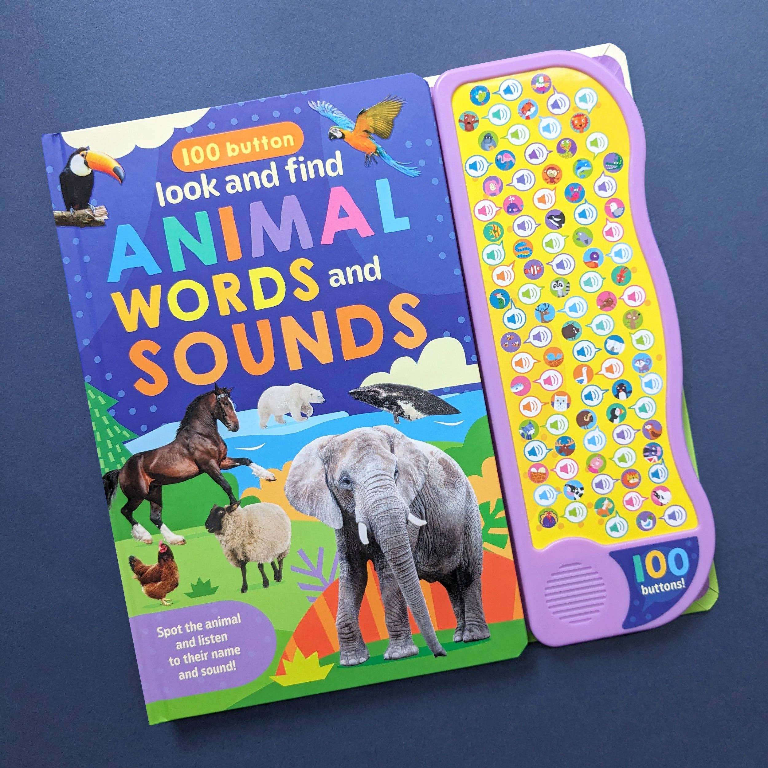 Robert Frederick Ltd – wholesale Pre-school book (3–5) – Look And Find Animal Words & Sounds - Children's 100 Button Sound Book3