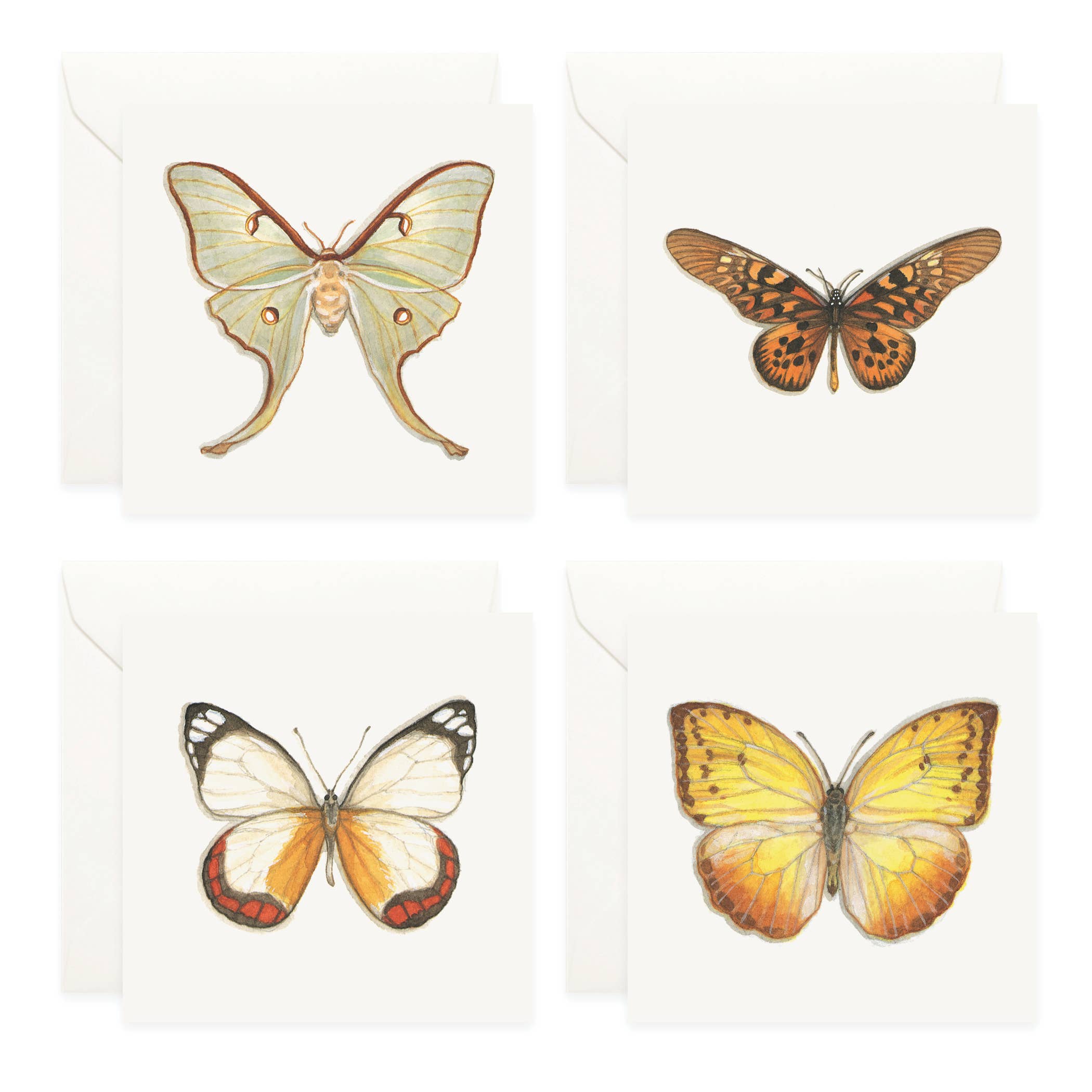 Yeesan Loh - Wholesale Stationery/Notecard Set - Mini Cards Set / Butterflies & Moths2
