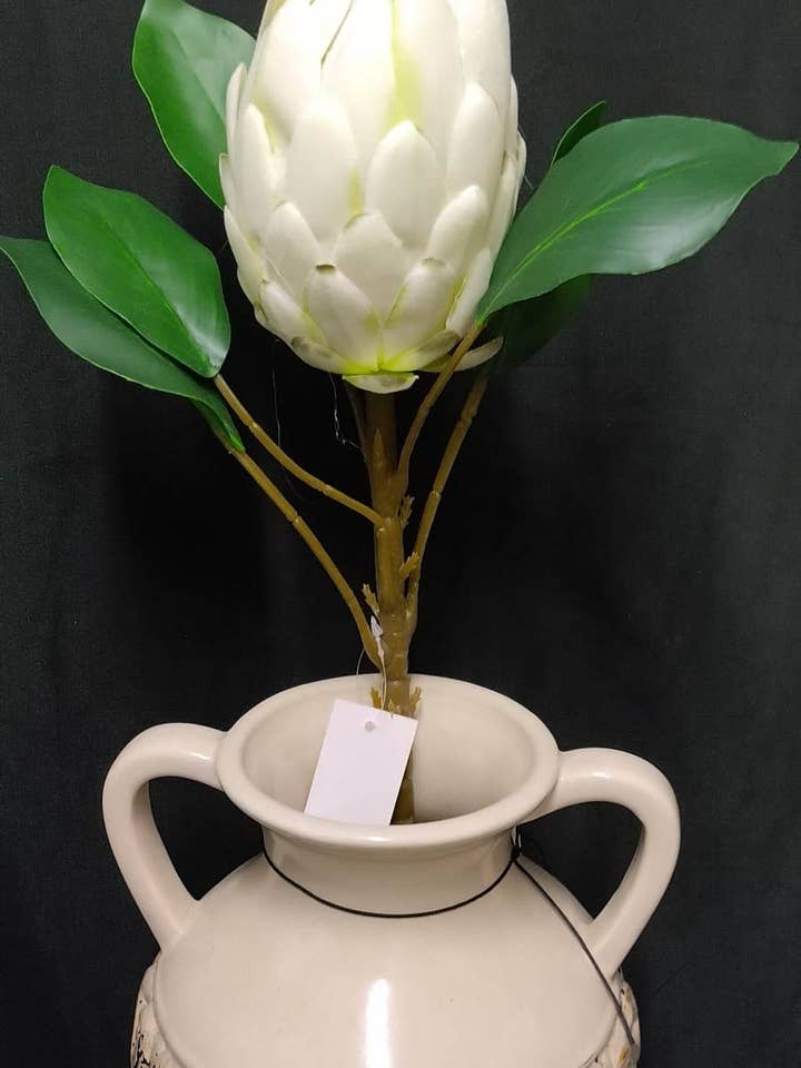 Protea stem Cream for wholesale by Gary's Wholesale