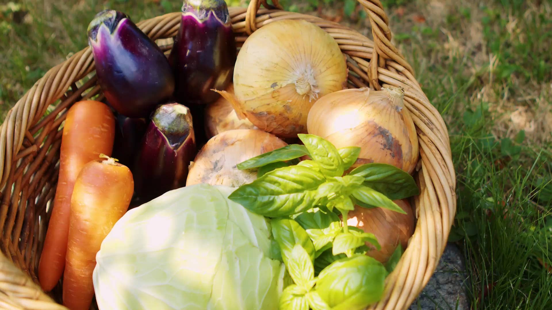 FUKUROYA TOWEL - Vendita all'ingrosso Strofinaccio da cucina - SHIZUKU Set da 7 asciugamani in garza tinta con coloranti vegetali assortiti10