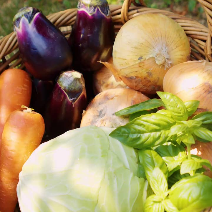 FUKUROYA TOWEL – wholesale Hand towel – SHIZUKU Vegetable Dyed Towel Handkerchief – Made in Japan7