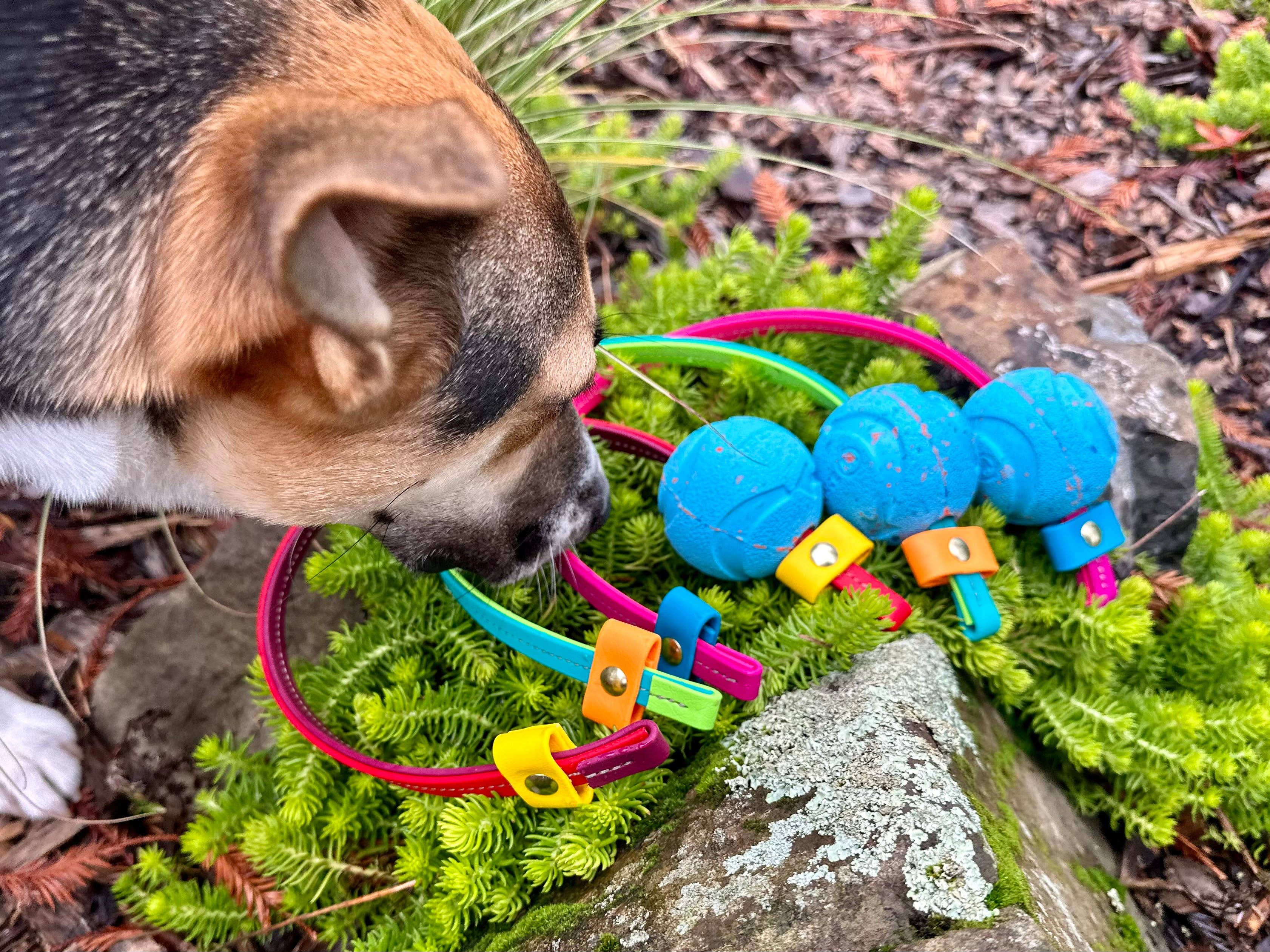 Trailblazing Tails - Wholesale Pet Rope Toy - Dog - The Slide Tug3