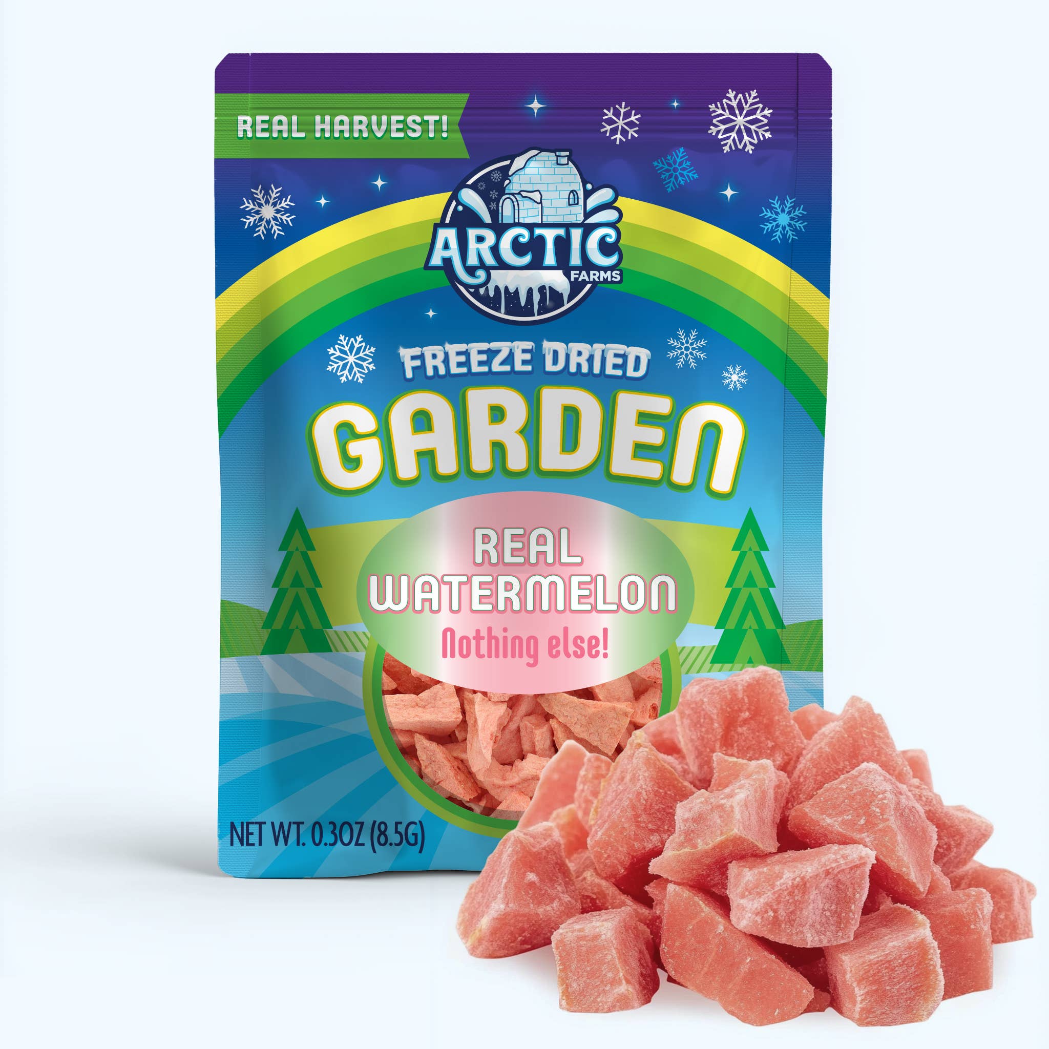 Arctic Farms – Großhandel Getrocknete/dehydrierte Früchte – Arctic Farms Garten gefriergetrocknete Wassermelone (echtes Obst)1