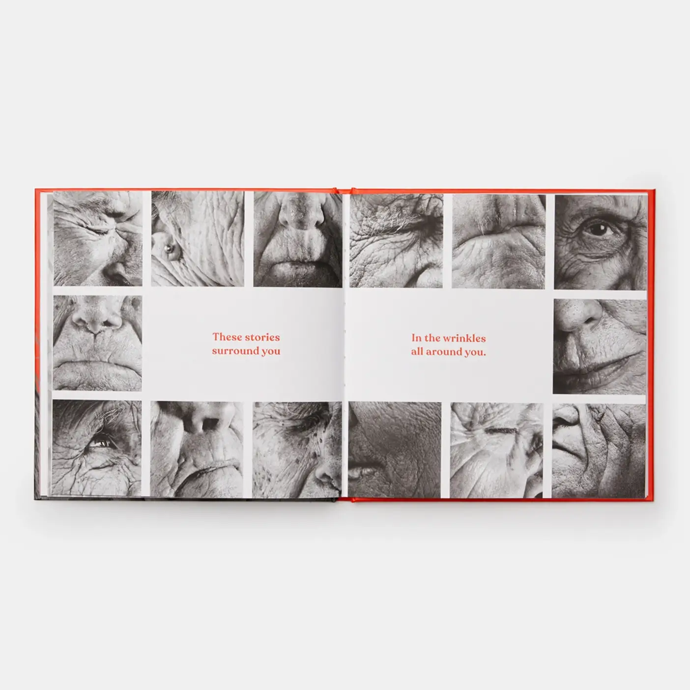 Phaidon - Wholesale Arts & Entertainment - Wrinkles4
