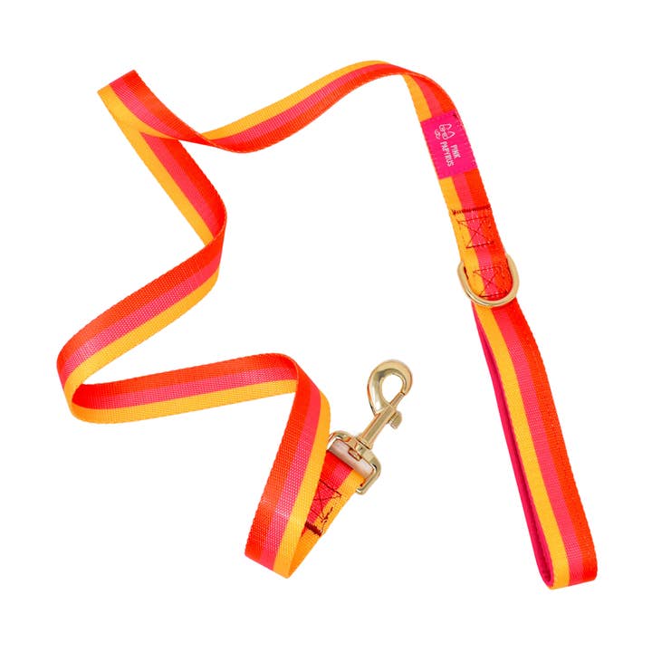 Zara hondenriem | Hondenriem | Hondenriem voor wholesale door Pink Papyrus | Premium, Durable, & Stylish Dog Products