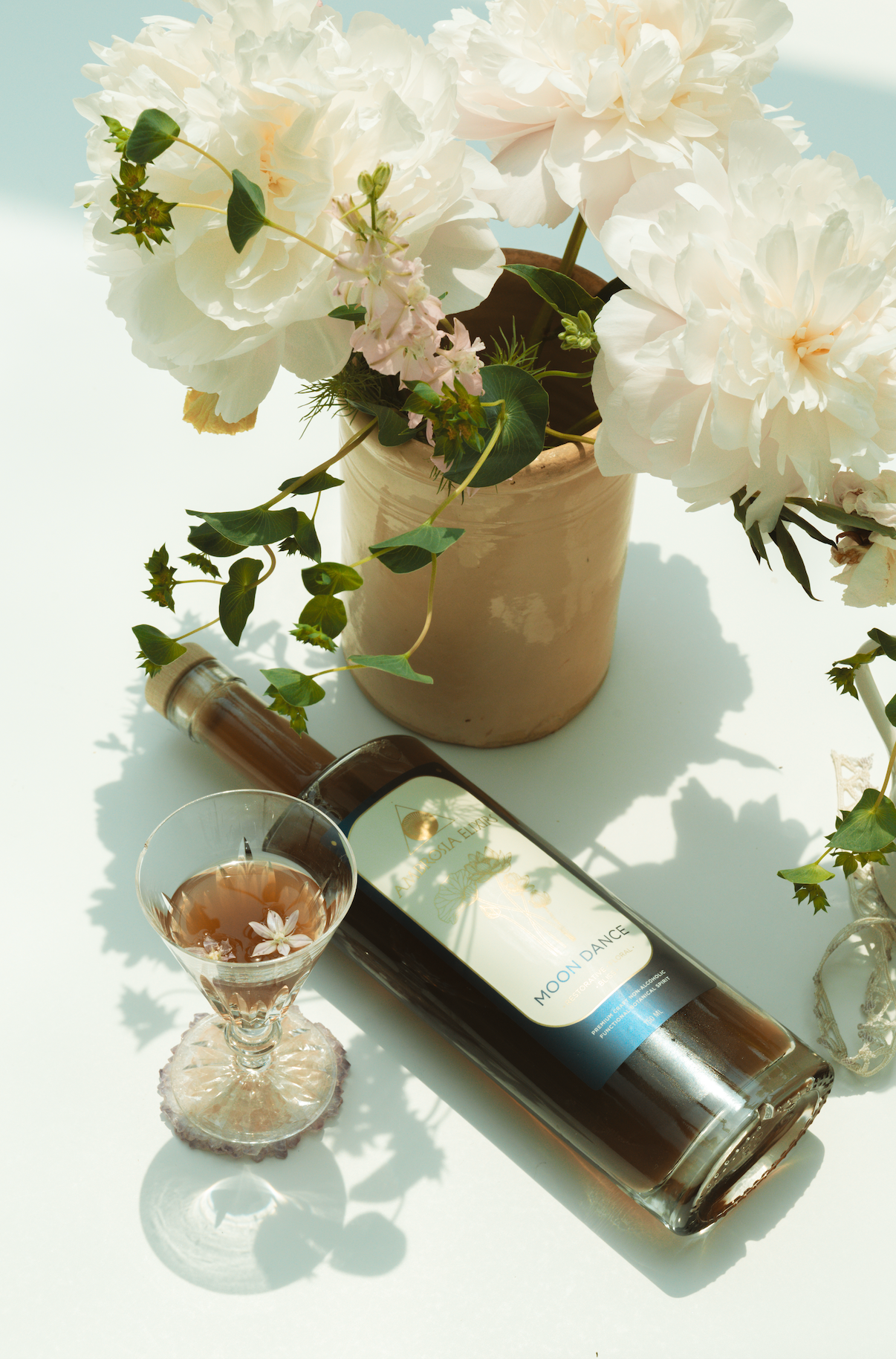 Ambrosia Elixirs - Wholesale Non-Alcoholic Aperitif/Mocktail - Moondance Crate - 12 Premium Bottles 3