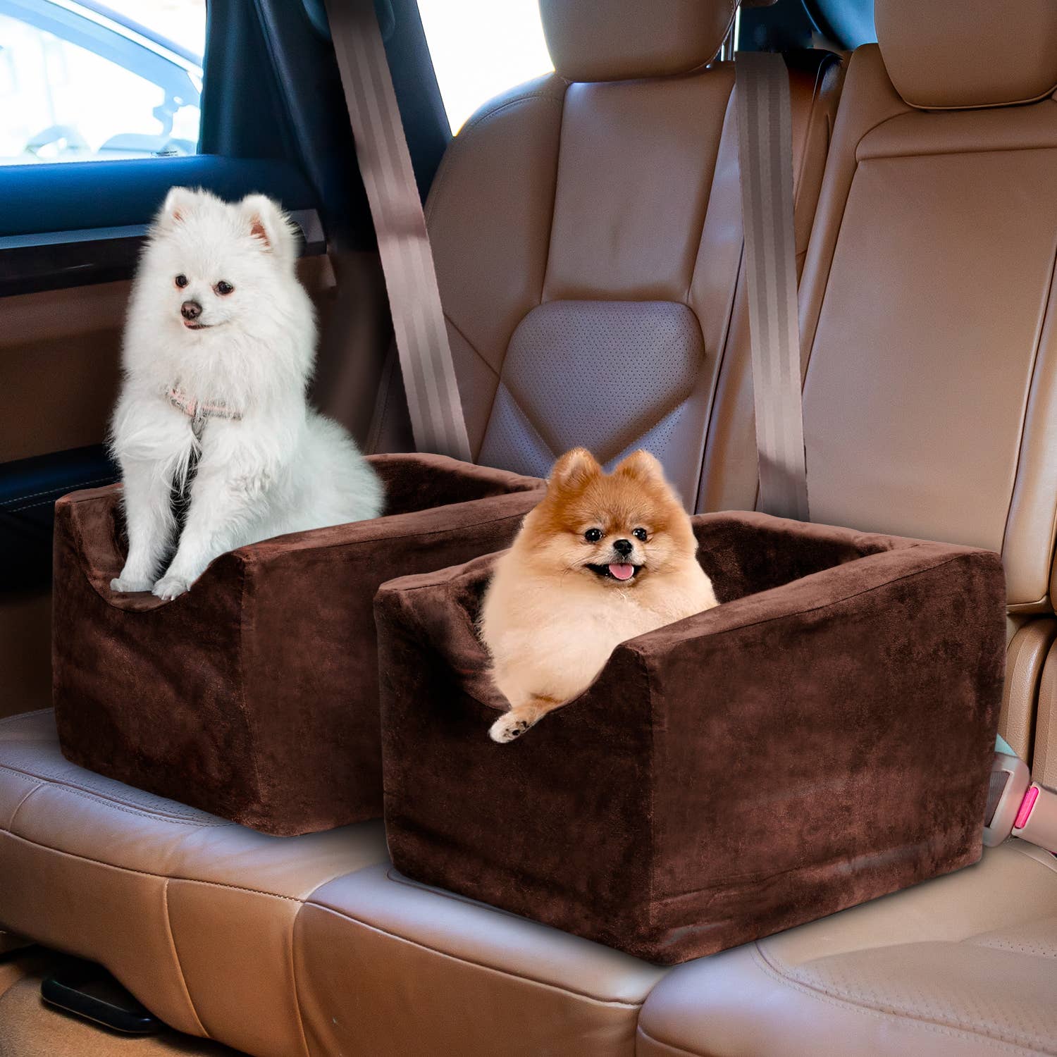 Precious Tails - Wholesale Pet Carrier - Cat/Dog - Precious Tails High Density Foam Pet Booster Seat18
