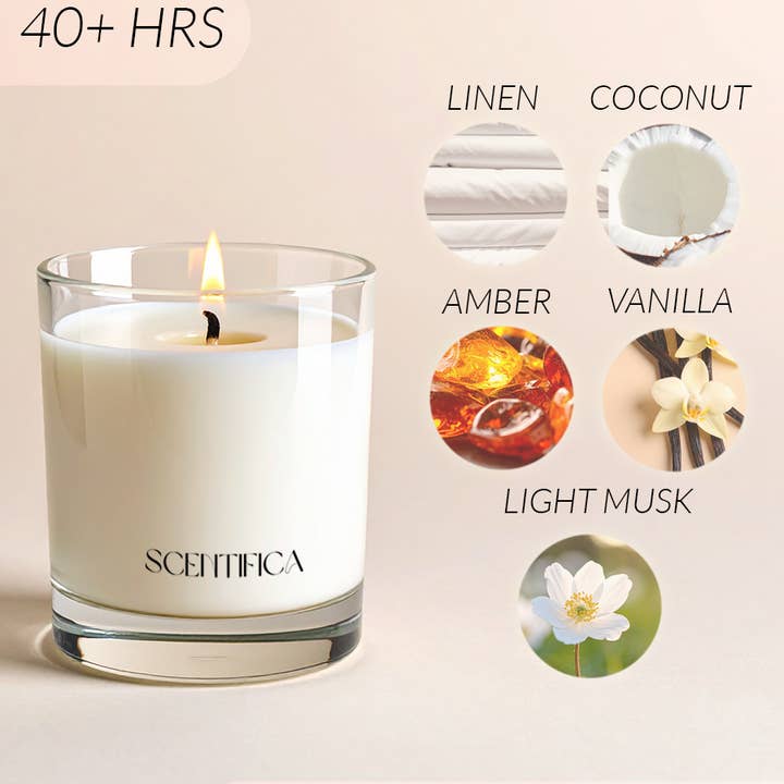 Scentifica - Wholesale Jar/Filled Candle - Vanilla + Musk Soy Candle2