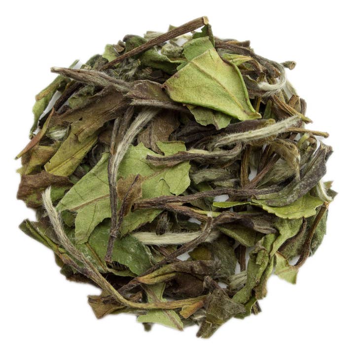 Hvid pæon te catering taske for engroshandel hos PekoeTea Edinburgh