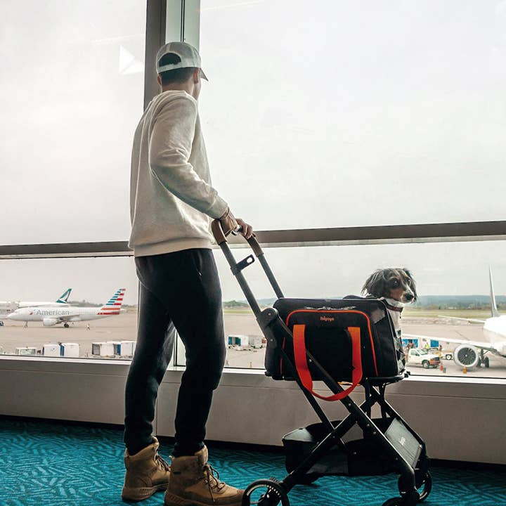 Ibiyaya - Wholesale Pet Carrier - Cat/Dog - JetPaw: 3-in-One Pet Stroller with Airline-Approved Carrier1