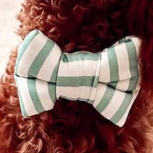 Turquoise Stripes Classic Dog Bowtie for wholesale by Sparkle & Chic Petite Pup Boutique