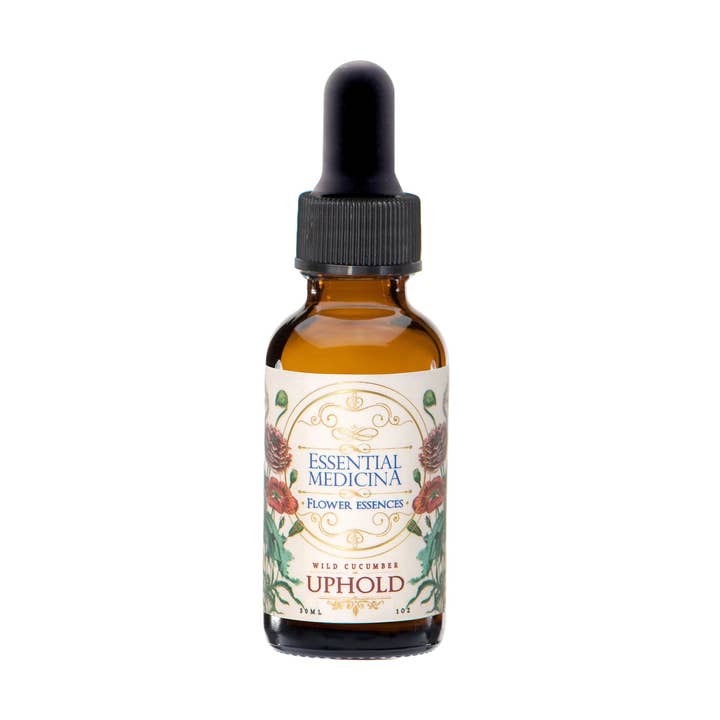 Essence florale Uphold pour la vente par Essential Medicina
