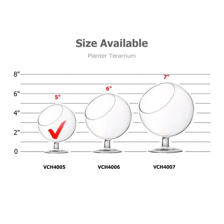 WGV International - Wholesale Terrarium - WGV Slant Bowl Terrarium - 4" x 5"H2