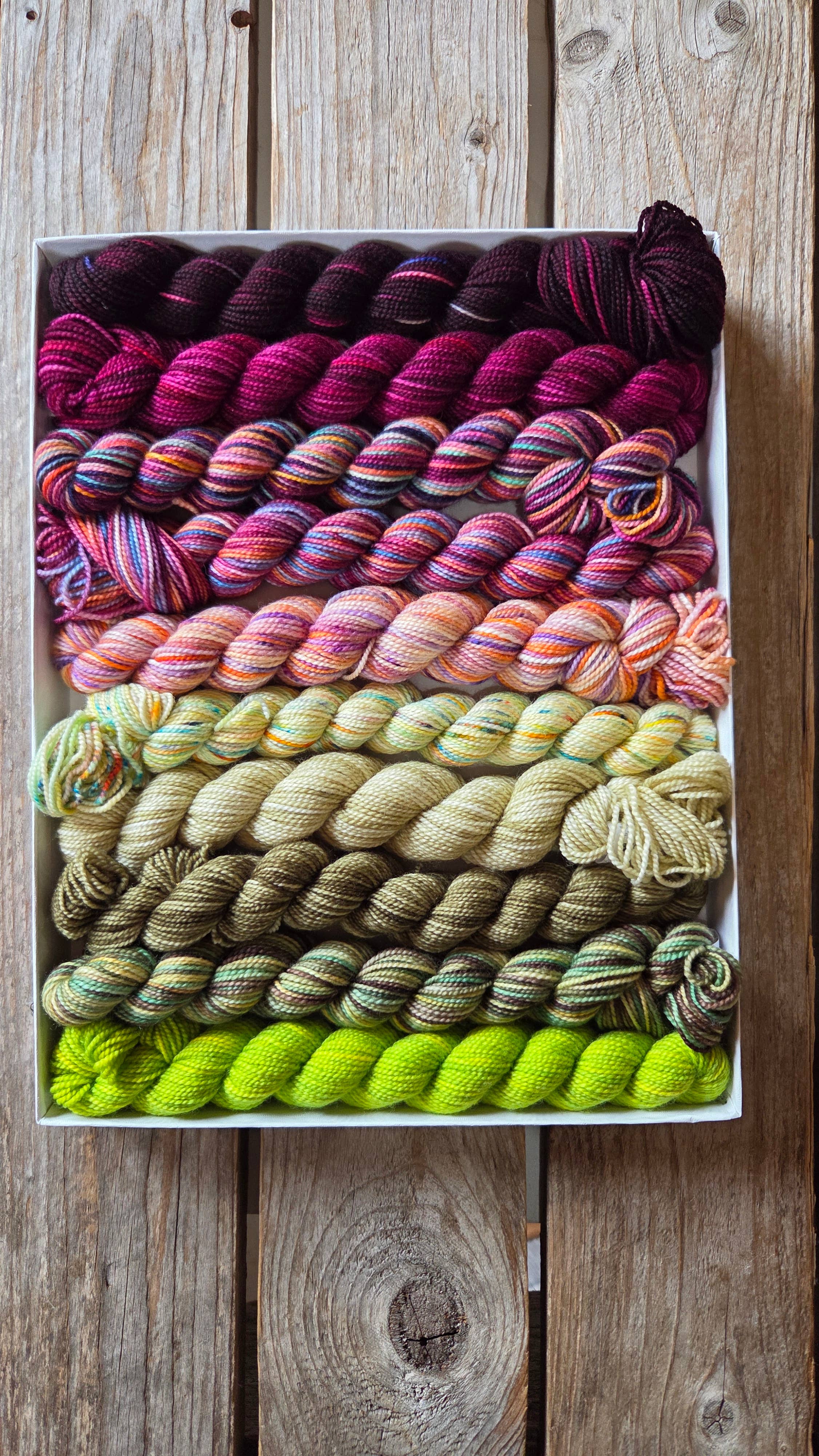 Koigu Wool Designs - Wholesale Yarn - Wibbly-Wobbly Scarf Mini Skein Sets (LYS DAY 2026)2