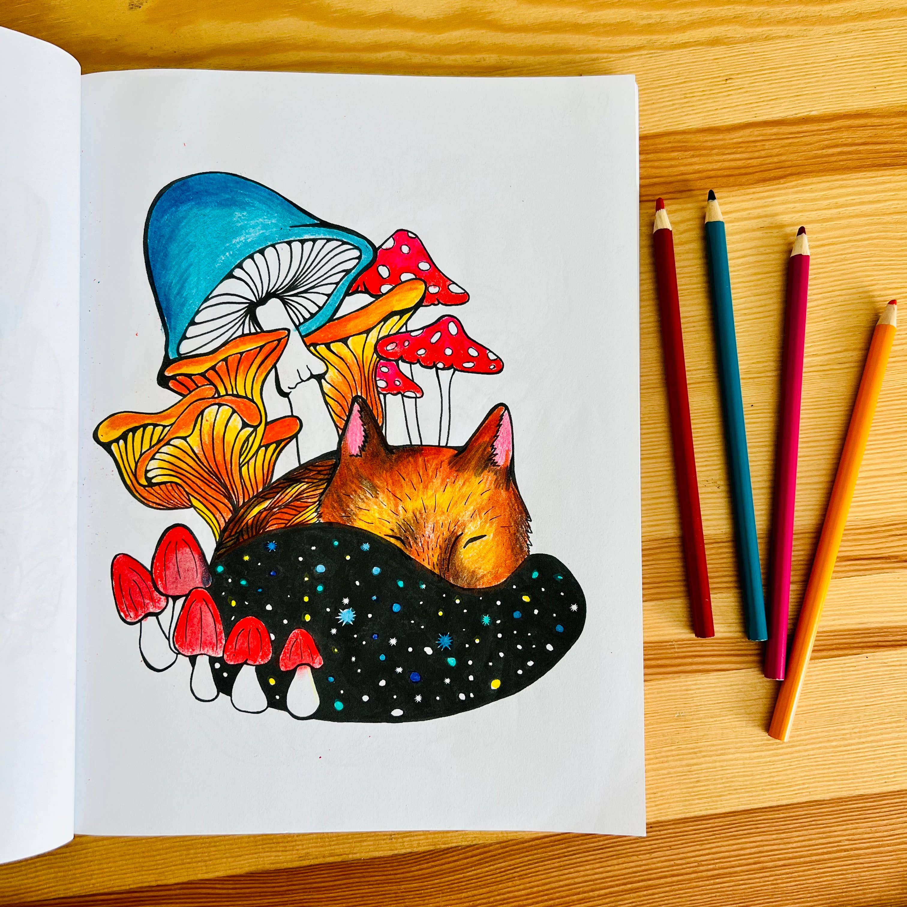 Sunshine Studios LLC - Vendita all'ingrosso Libro da colorare e attività - Adulti - Flora e Fauna2