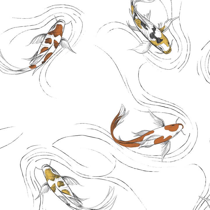 No seas Koi - Papel pintado sereno para venta al por mayor de Detroit Wallpaper Co.