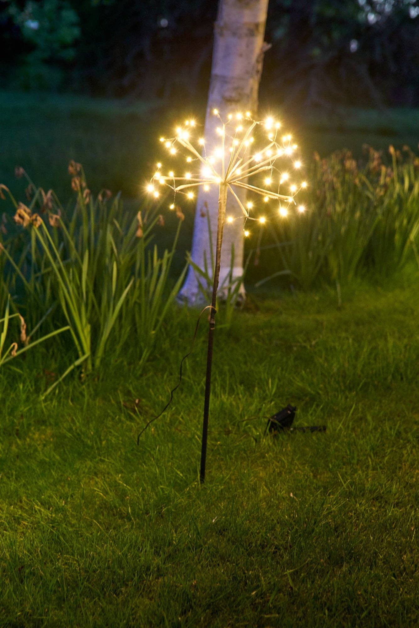 Lumina Of London Co - Wholesale Outdoor/Lawn Light - Solar Dandelion Lights5