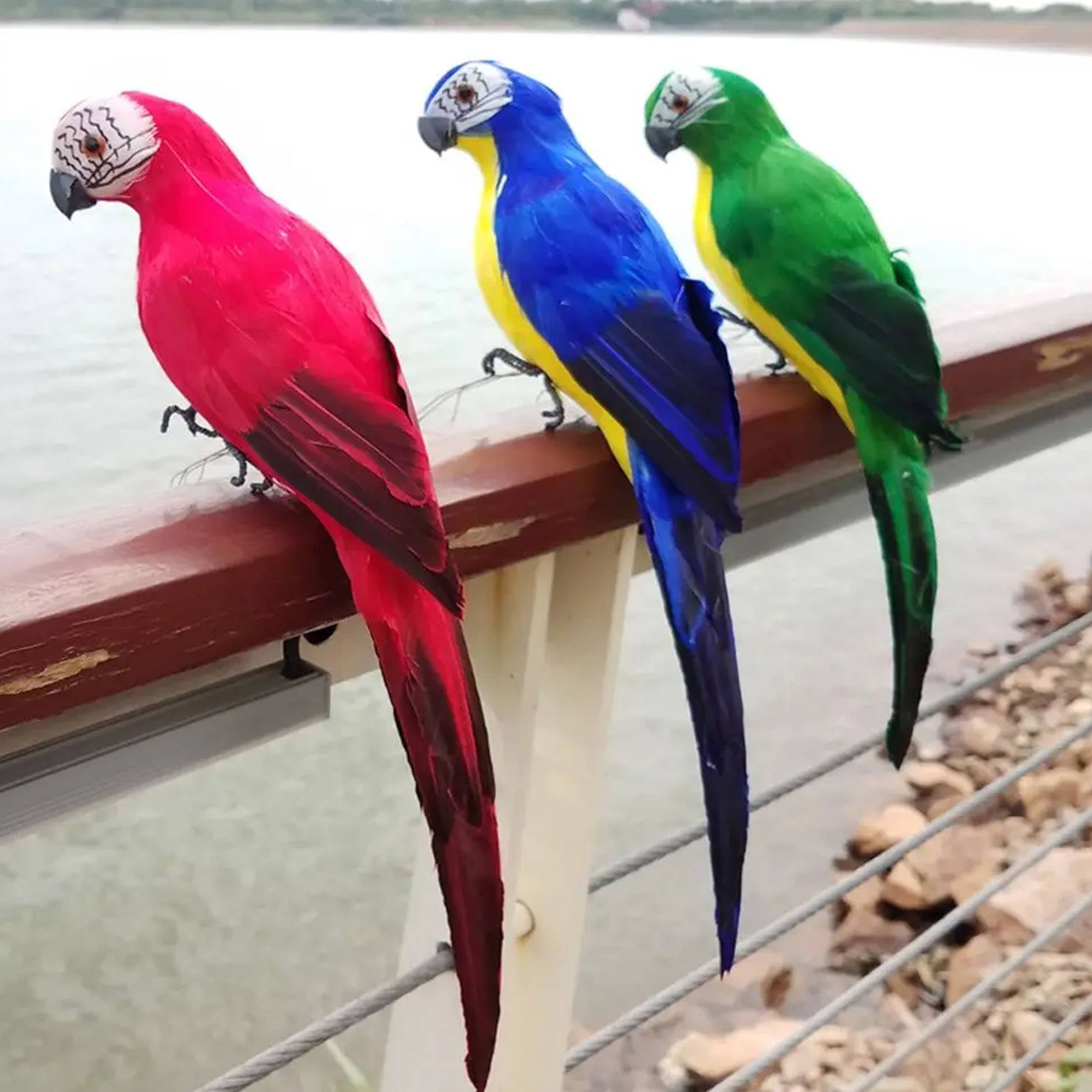 Buddha Ayurveda - Wholesale Sculpture - Handcraft Parrot Birds Model For Home Decor 3