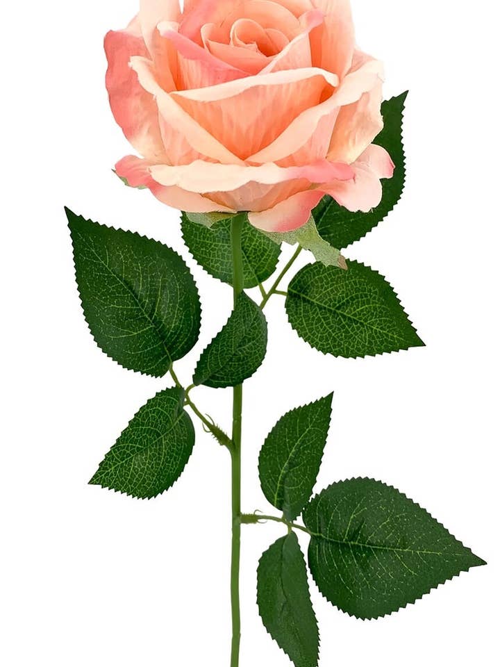 Rosax-1 polyesterrose med ferskenfarve, 56 cm (8 cm) for engroshandel hos Aguilar Málaga