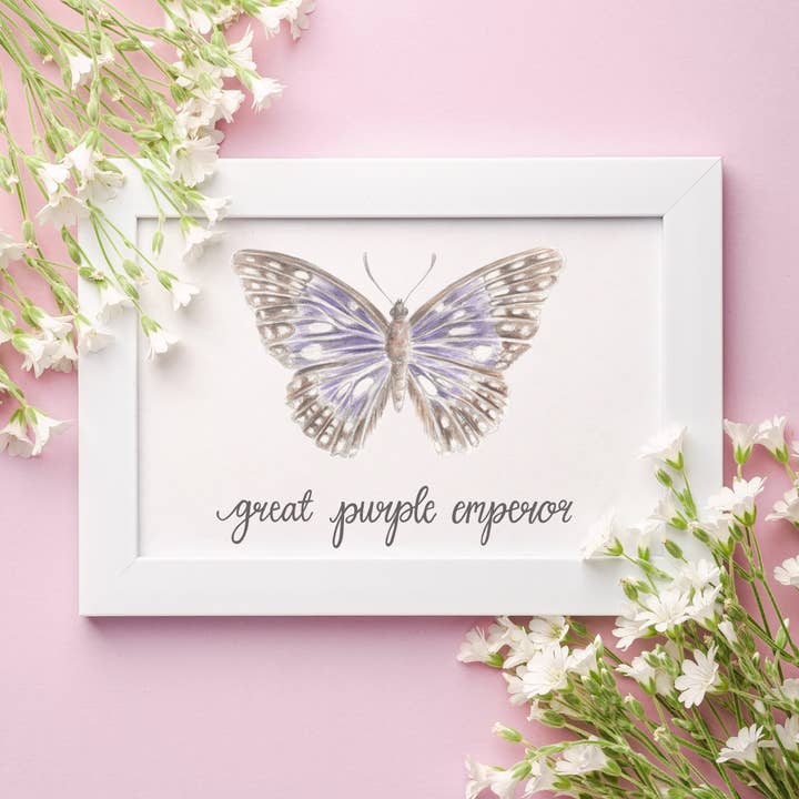 Great Purple Emperor Butterfly Art Print for wholesale by Erica Catherine Illustration