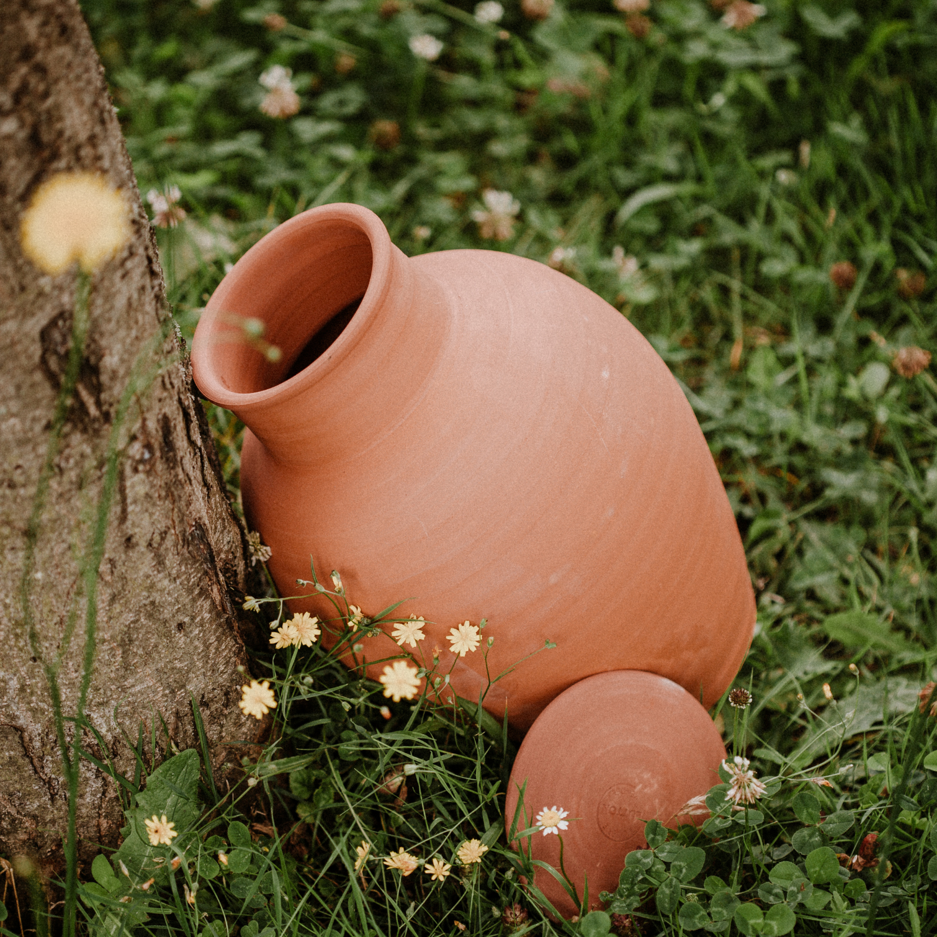 Poterie lutton – Großhandel Garten-Caddys – Ollas Jardinier begrabene Töpfe zur nachhaltigen Pflanzenbewässerung5