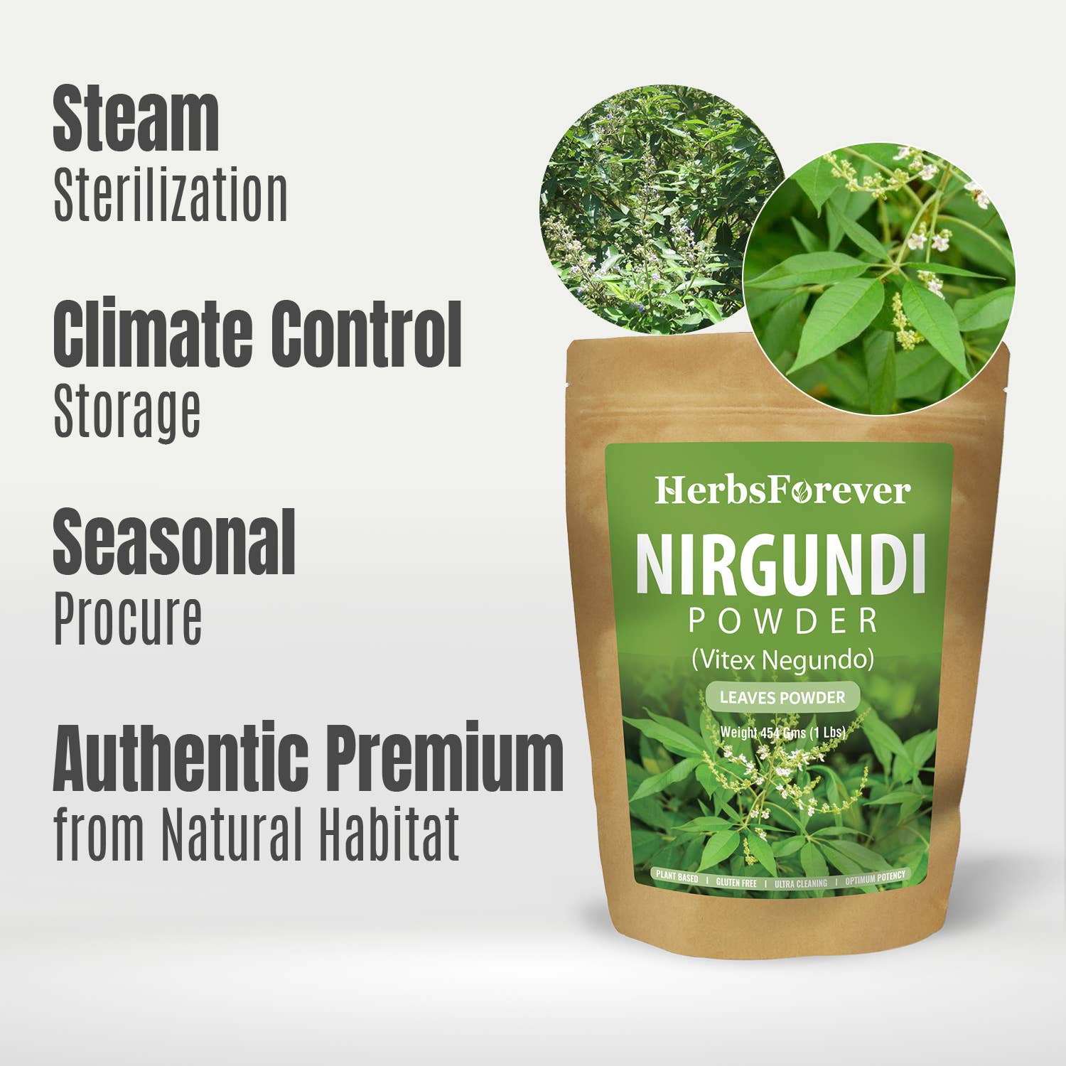 HerbsForever - Wholesale Protein/Superfood Powder - Nirgundi Powder Vitex Negundo Non GMO Vegan4