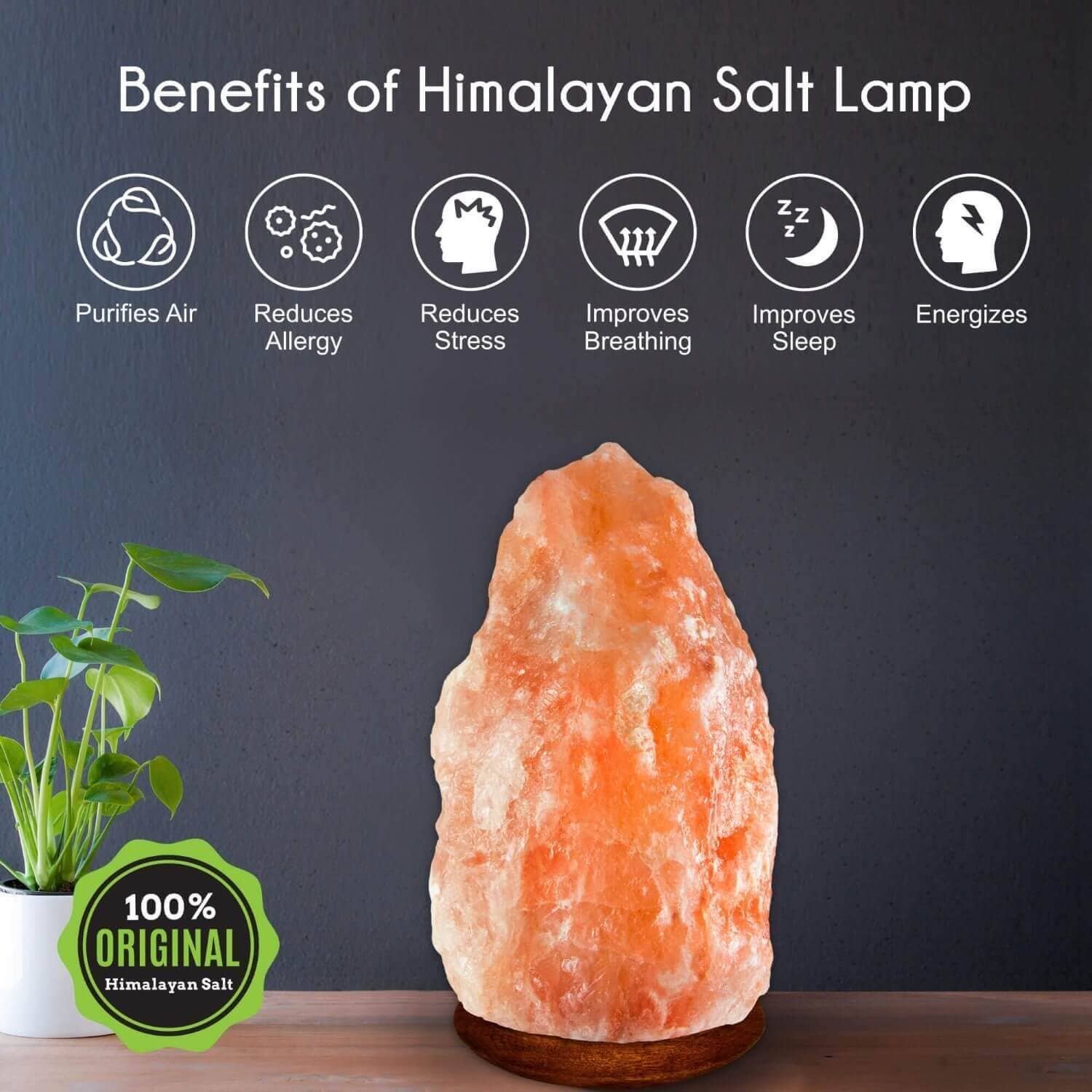 Himalayan Trading Co.® - Wholesale Zoutlamp - Originele Himalaya-zoutlamp (XL)7