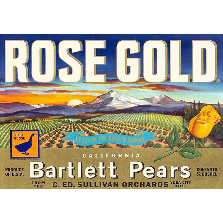 Greeting Card FR-238 Rose Gold Pear Crate Label for wholesale by Found Image Press