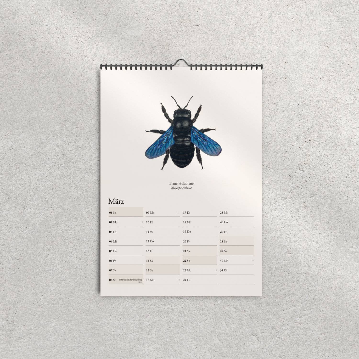 Terillu - Wholesale Calendar - Calendar 2026 – Wall Calendar Native Wild Bees3