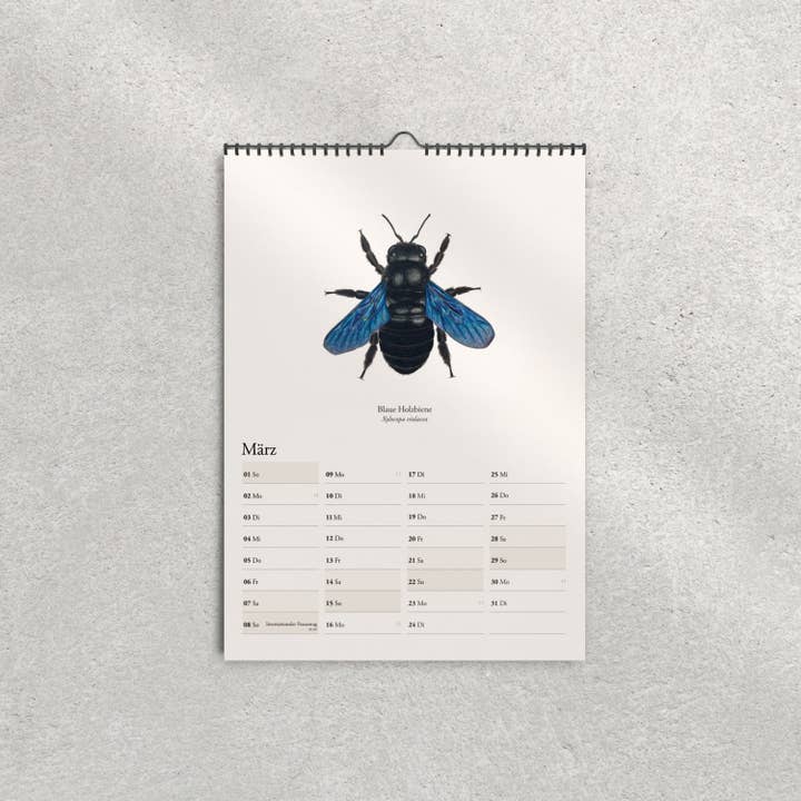 Terillu - Wholesale Calendar - Calendar 2026 – Wall Calendar Native Wild Bees3