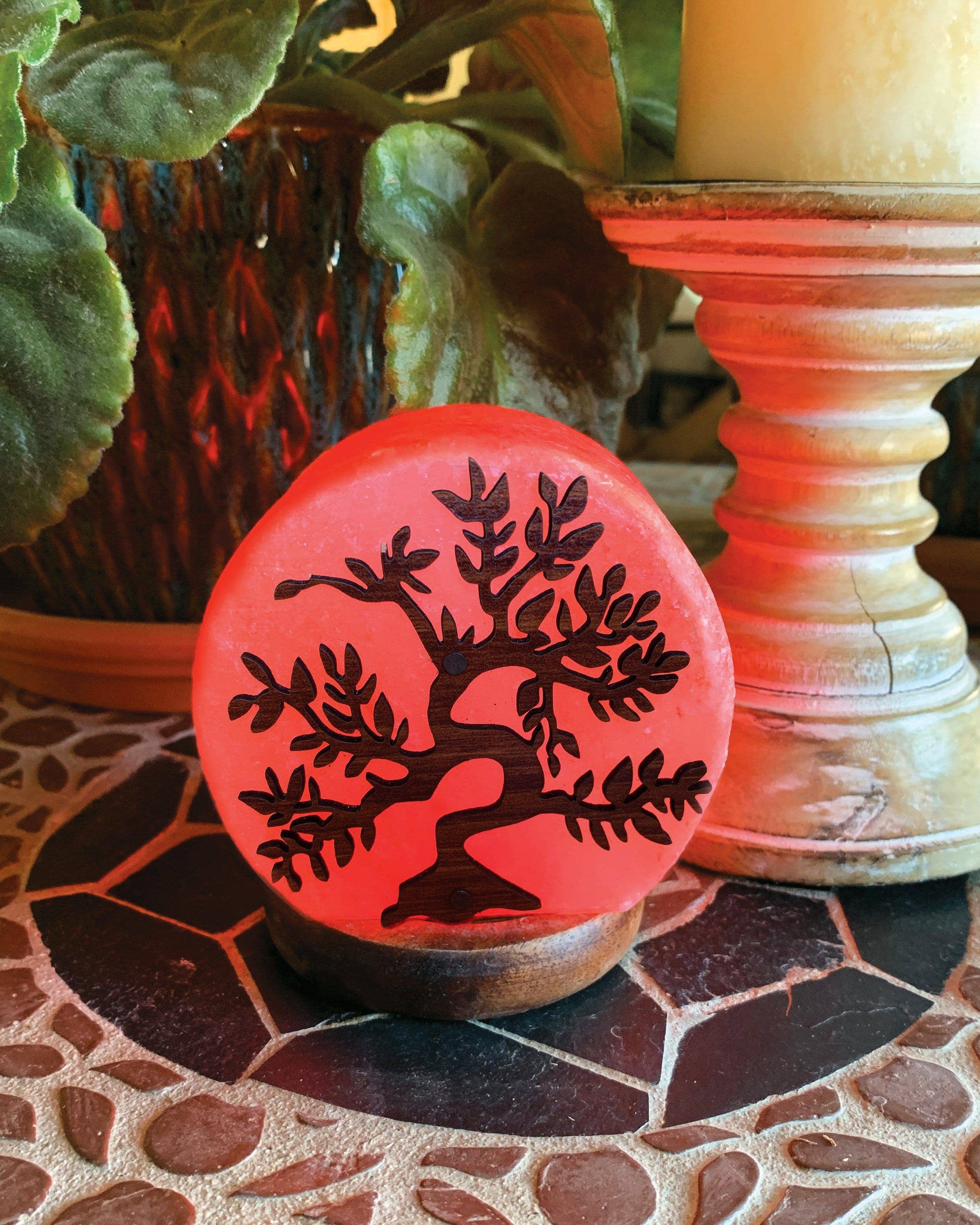 Rock Paradise - Wholesale Salt Lamp - Crystal Himalayan Salt Lamp - Small (RK1)4