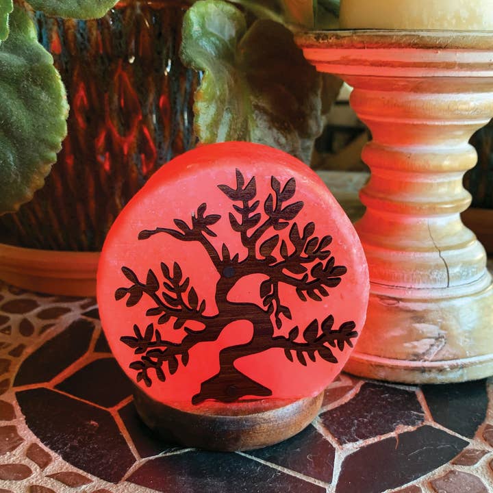 Rock Paradise - Wholesale Salt Lamp - Crystal Himalayan Salt Lamp - Small (RK1)4