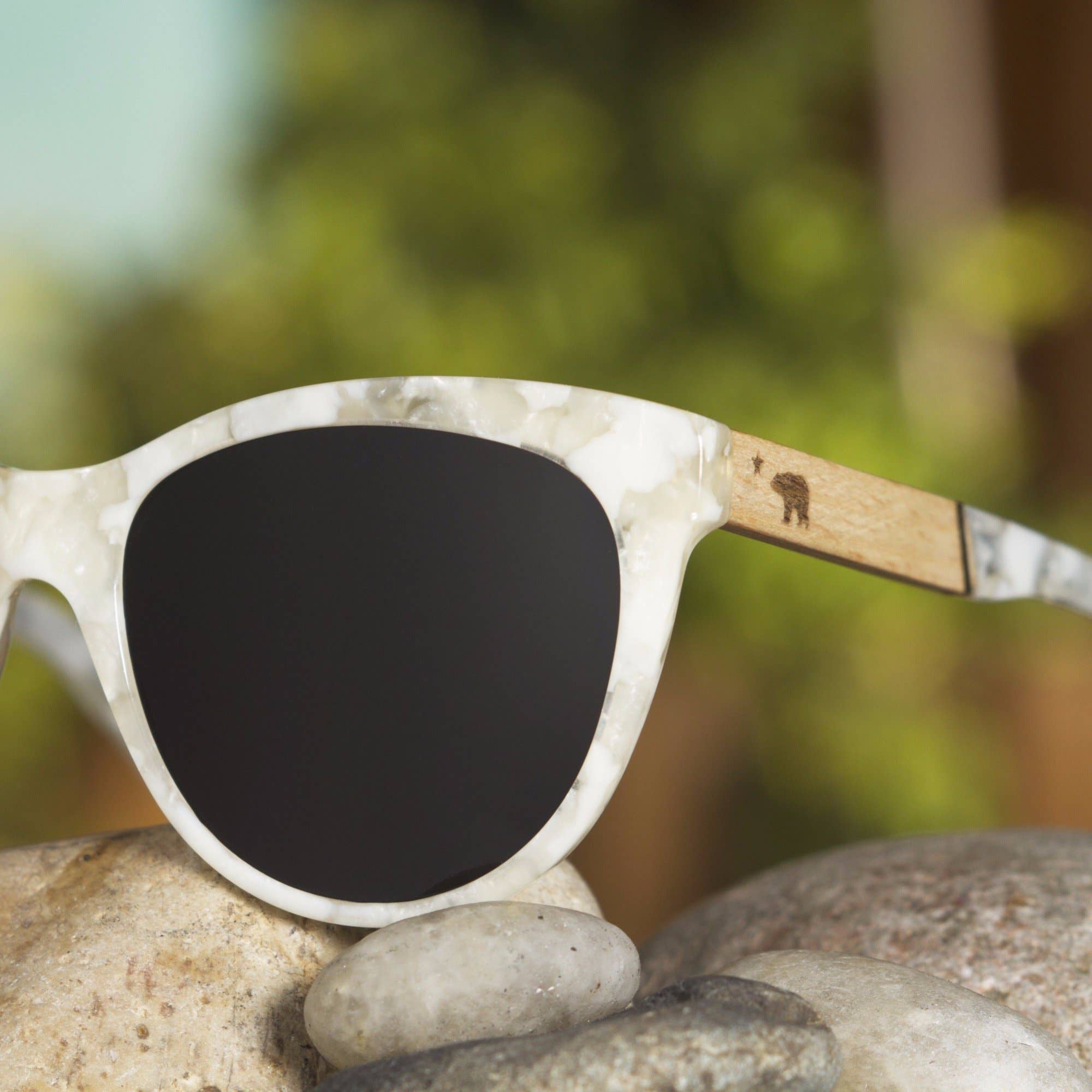 Cali Life Co. - Wholesale Sunglasses - Unisex - Venice5